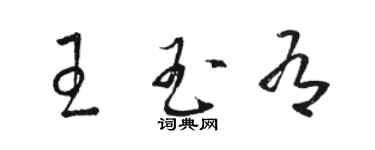 駱恆光王玉有草書個性簽名怎么寫