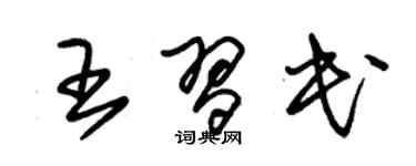 朱錫榮王習民草書個性簽名怎么寫