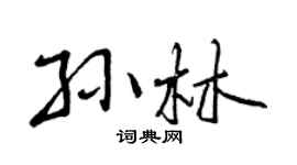 曾慶福孫林行書個性簽名怎么寫