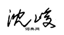 朱錫榮沈峻草書個性簽名怎么寫