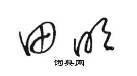 駱恆光田明草書個性簽名怎么寫