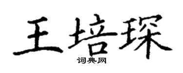 丁謙王培琛楷書個性簽名怎么寫