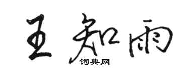 駱恆光王知雨行書個性簽名怎么寫