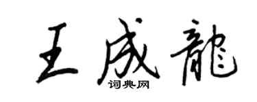 王正良王成龍行書個性簽名怎么寫
