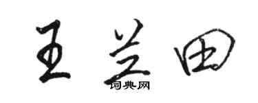 駱恆光王蘭田行書個性簽名怎么寫