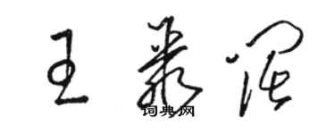 駱恆光王聚闊草書個性簽名怎么寫