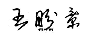 朱錫榮王盼景草書個性簽名怎么寫