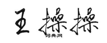 駱恆光王操操行書個性簽名怎么寫