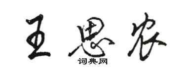 駱恆光王思農行書個性簽名怎么寫