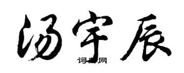 胡問遂湯宇辰行書個性簽名怎么寫