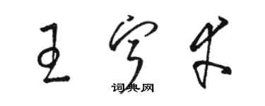 駱恆光王寧幸草書個性簽名怎么寫