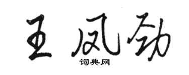駱恆光王鳳勁行書個性簽名怎么寫