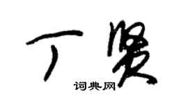 朱錫榮丁賢草書個性簽名怎么寫