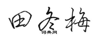 駱恆光田冬梅行書個性簽名怎么寫