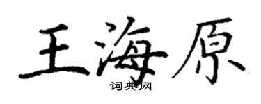 丁謙王海原楷書個性簽名怎么寫