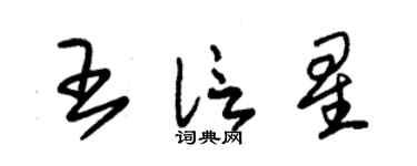 朱錫榮王信星草書個性簽名怎么寫