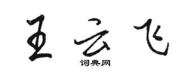 駱恆光王雲飛行書個性簽名怎么寫