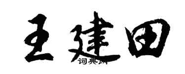 胡問遂王建田行書個性簽名怎么寫