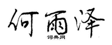 曾慶福何雨澤行書個性簽名怎么寫
