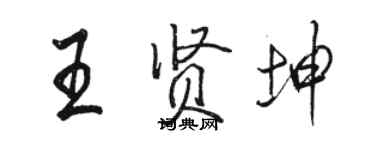 駱恆光王賢坤行書個性簽名怎么寫