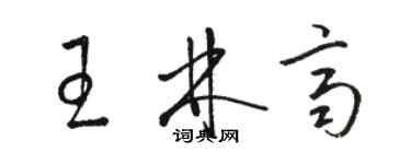 駱恆光王林齊草書個性簽名怎么寫