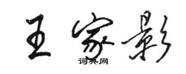 駱恆光王家影行書個性簽名怎么寫