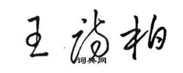 駱恆光王詩柏草書個性簽名怎么寫