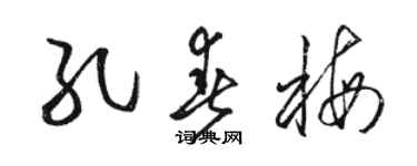 駱恆光孔春梅草書個性簽名怎么寫