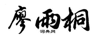 胡問遂廖雨桐行書個性簽名怎么寫