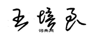 朱錫榮王培良草書個性簽名怎么寫