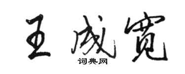 駱恆光王成寬行書個性簽名怎么寫