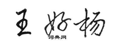 駱恆光王好楊行書個性簽名怎么寫