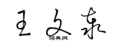 駱恆光王文泰草書個性簽名怎么寫