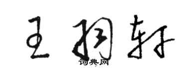 駱恆光王羽軒草書個性簽名怎么寫