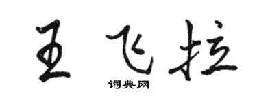 駱恆光王飛拉行書個性簽名怎么寫