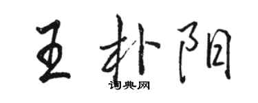 駱恆光王朴陽行書個性簽名怎么寫