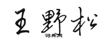 駱恆光王野松行書個性簽名怎么寫
