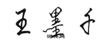 駱恆光王墨千行書個性簽名怎么寫