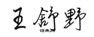 駱恆光王舒野行書個性簽名怎么寫
