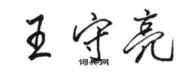 駱恆光王守亮行書個性簽名怎么寫