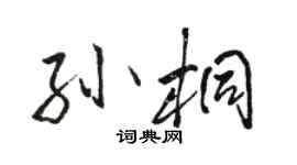 駱恆光孫桐行書個性簽名怎么寫