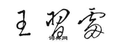 駱恆光王習雷草書個性簽名怎么寫