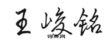 駱恆光王峻銘行書個性簽名怎么寫