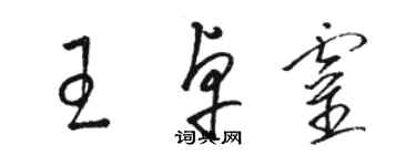 駱恆光王卓靈草書個性簽名怎么寫