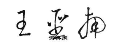 駱恆光王聖南草書個性簽名怎么寫