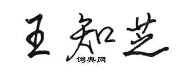 駱恆光王知芝行書個性簽名怎么寫