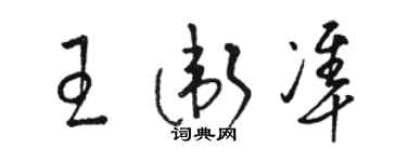 駱恆光王衛準草書個性簽名怎么寫