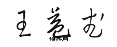 駱恆光王益武草書個性簽名怎么寫