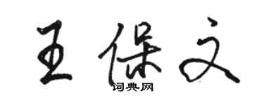 駱恆光王保文行書個性簽名怎么寫