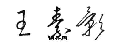 駱恆光王素影草書個性簽名怎么寫